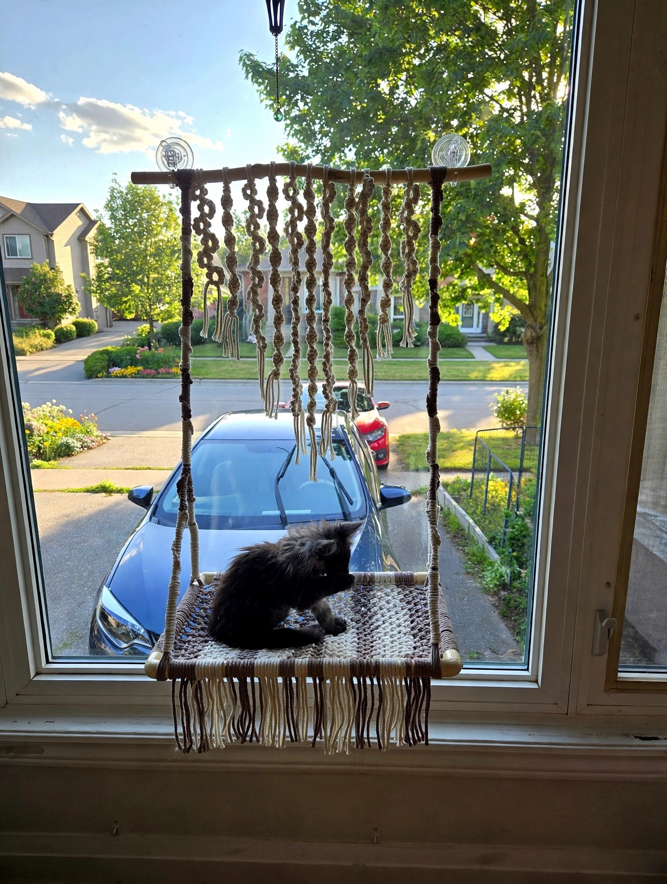 Macramé Cat Window Perch